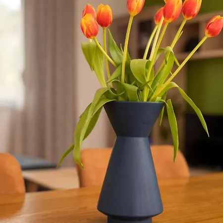 Downtown Labin (Istria)