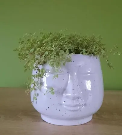 Downtown Apartment Labin (Istria)