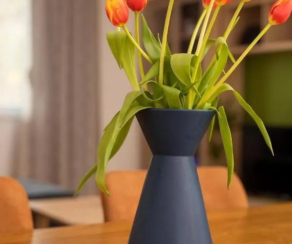 Downtown Labin (Istria)